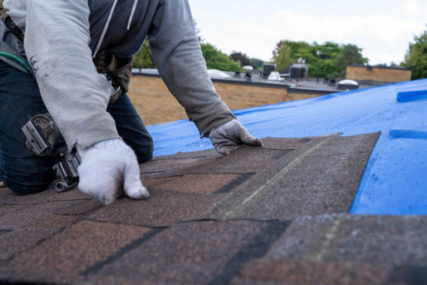 Best Roof Gutter Cleaning  in Pce, LA